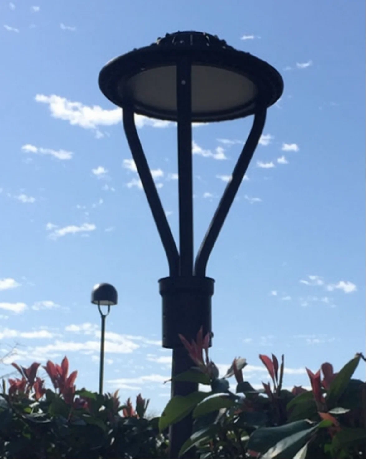 Toplight Professional Custom Manufacturer Pathway Lamp Landscape Lighting Fixture Led Garden Light Lawn Street POST TOP LIGHT