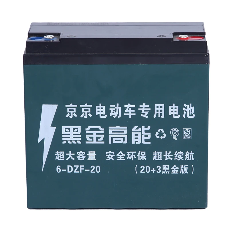 Electric Car/Scooter/Tricycle/Motorcycle 48V Lead-Acid and 24V Li-Ion Battery Pack 20Ah Nominal Capacity for 1000W Motor