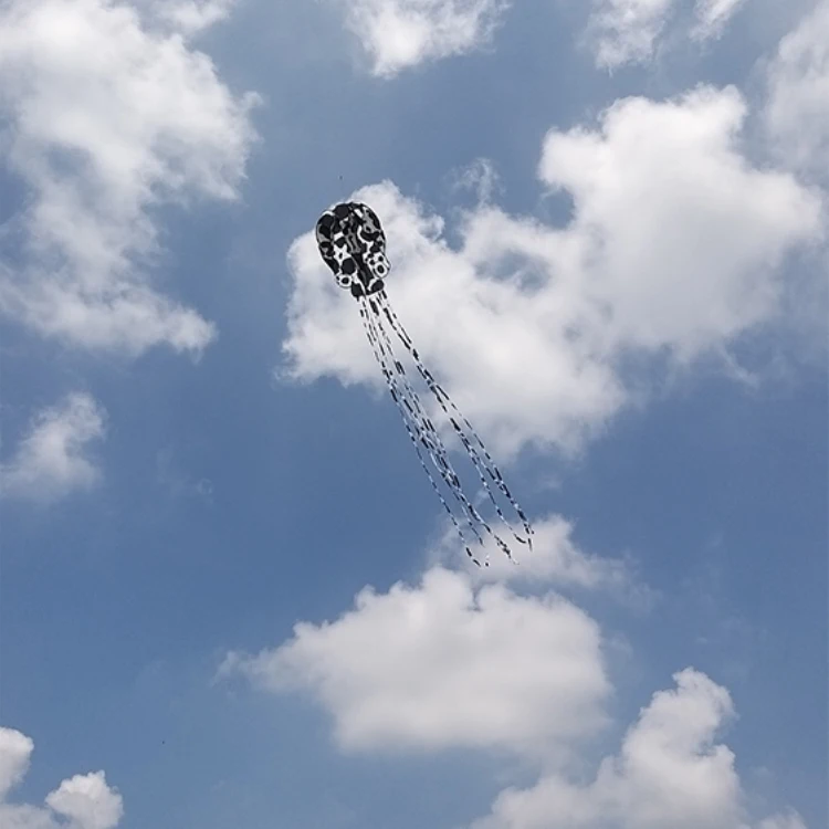 wholesale personalized custom with tails kite kids outdoor beach 3d Inflatable soft Piebald octopus kites