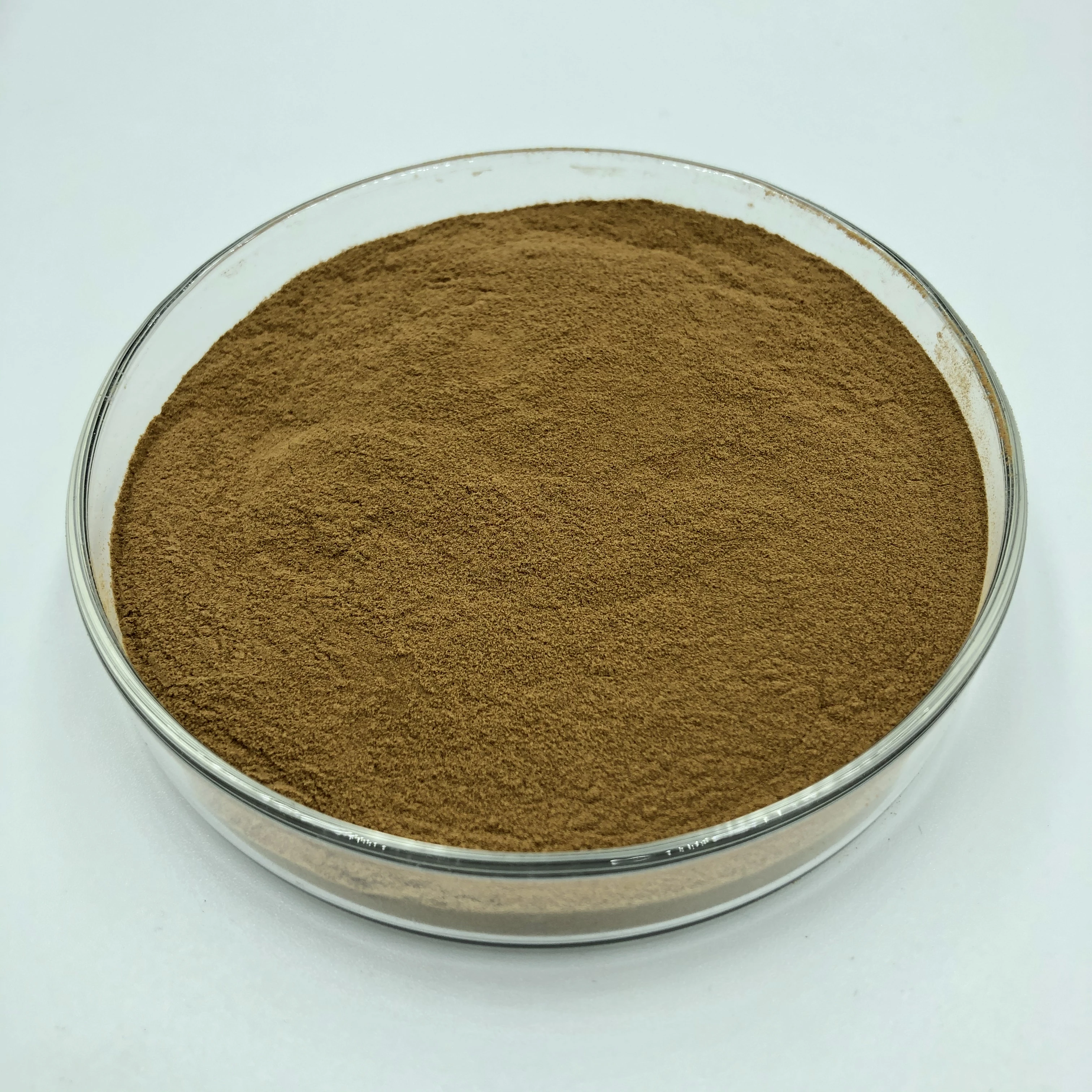 100% чистый экстракт грибов рейши порошок 10:1 Ganoderma Lucidum Lucid растительный