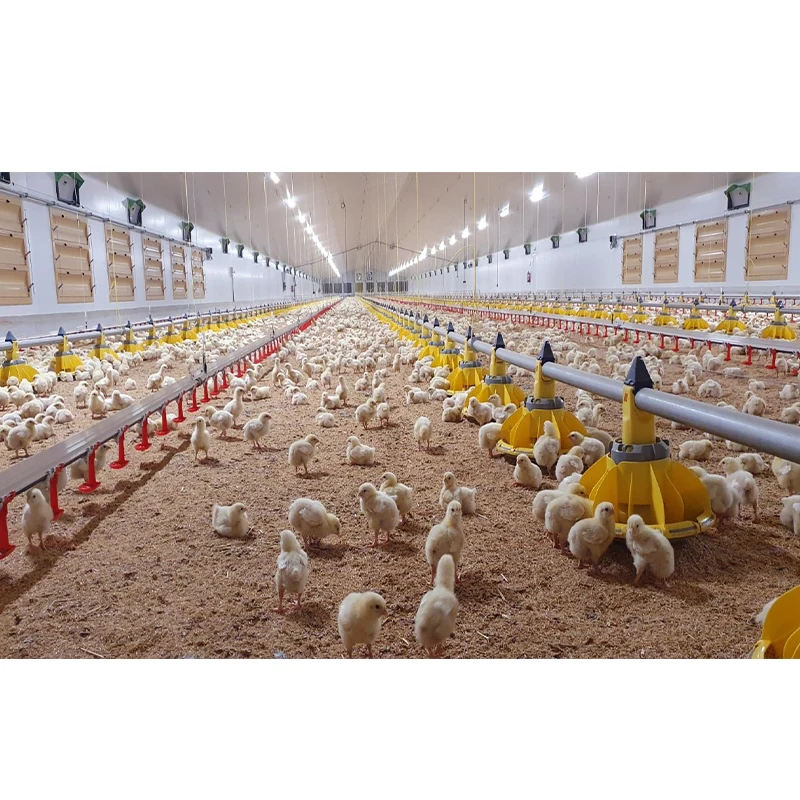 china cheap poultry farming prefabricated Farm chicken house