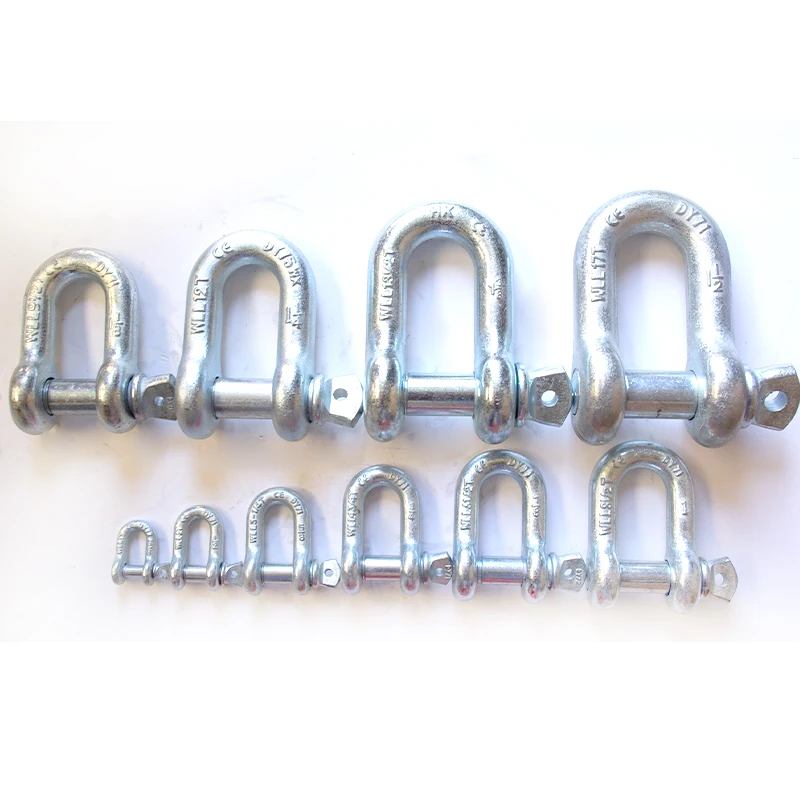Factory direct sale D Shackle Heavy Duty Straight D-type for marine Screw Pin D Shackle