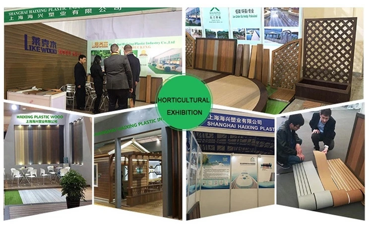 haixing exhibition.jpg