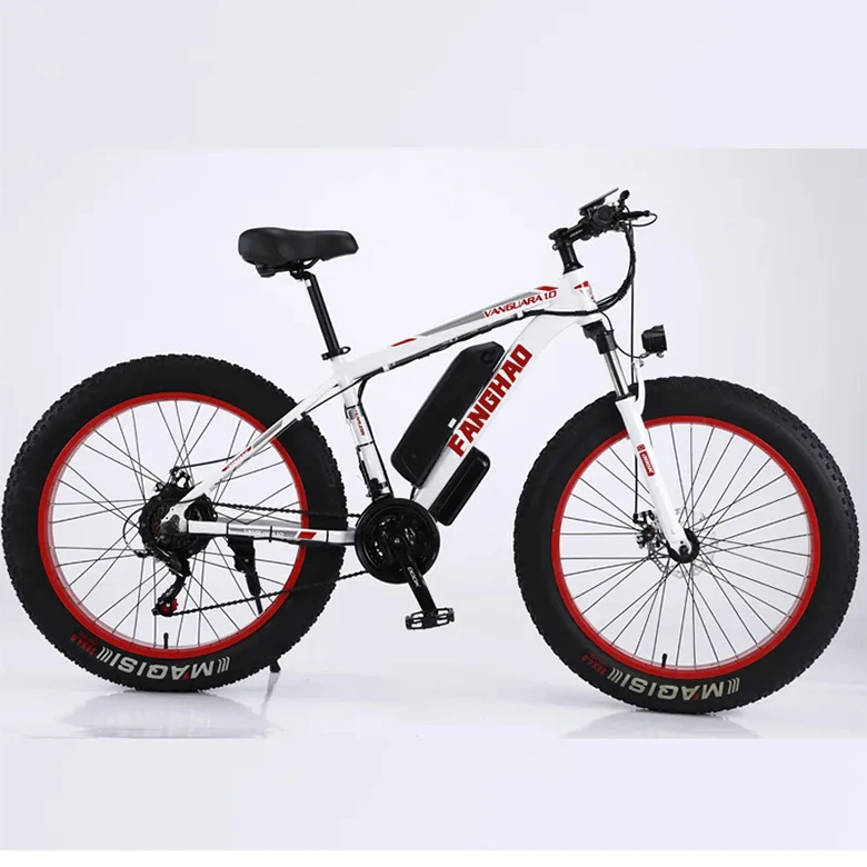 Hot Selling e bike 1000w electric bike 1000W fat bike electric Beach Fat Tire Electric Bicycle For Sale