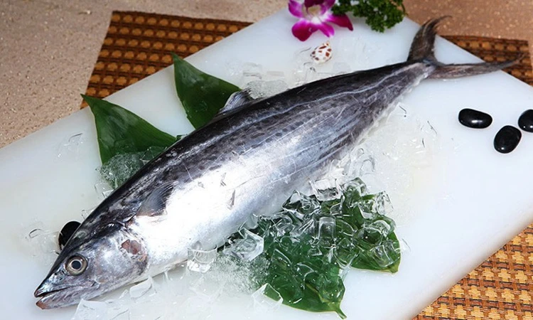 Attractive Price New Type Wholesale Seafood Spanish Mackerel Chilled Fresh Food Frozen Fish