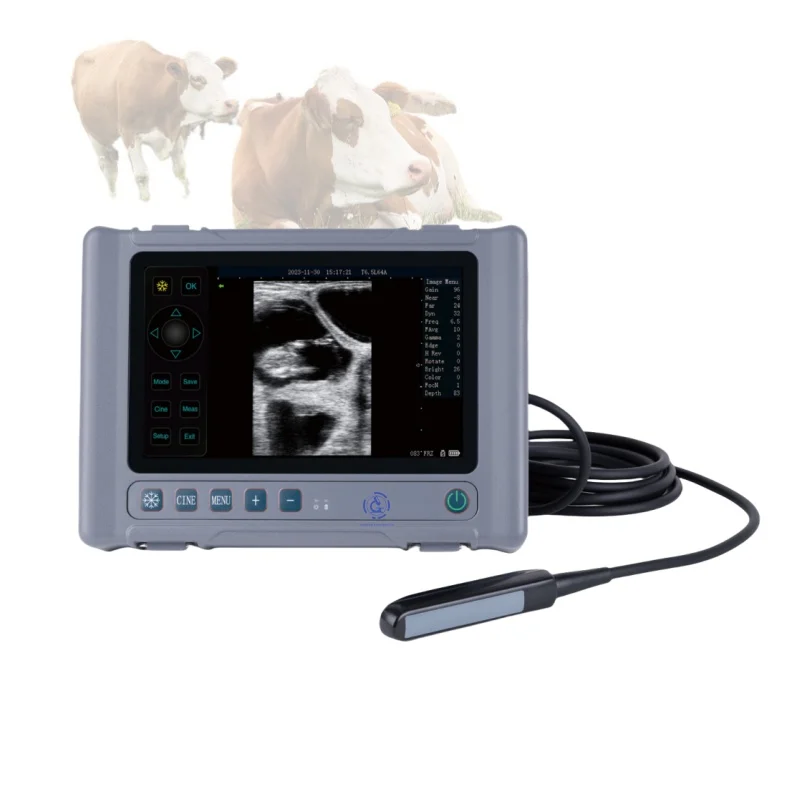 Veterinary Portable 4d 3d 2d Ultrasound for Medical Diagnostic Imaging Scanner Clinic