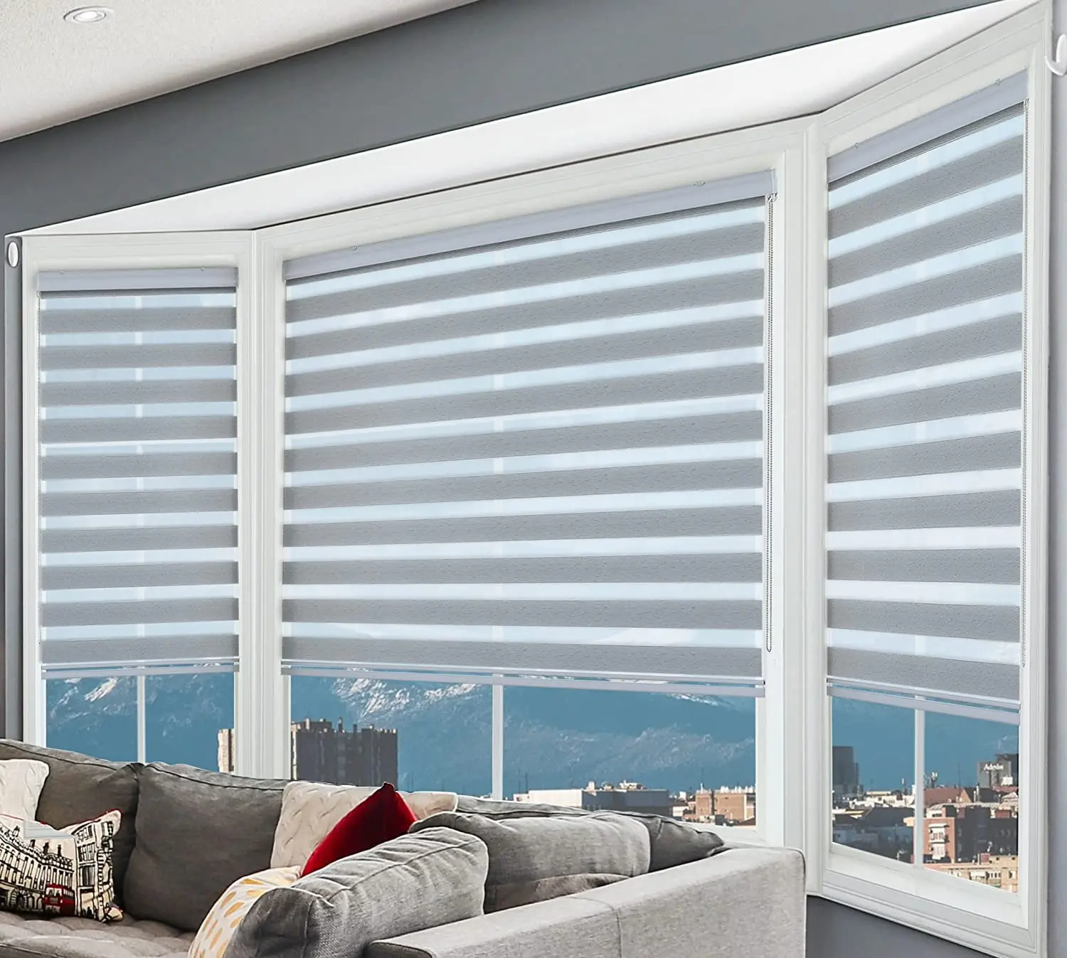 Zebra Blinds for Window, Zebra Roller Shades, Light Filtering Room Darkening 50% Blackout Window Treatments for Living Room