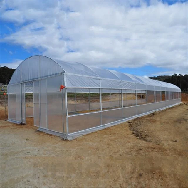 High strength HDPE plastic 200 micron greenhouse film for agriculture