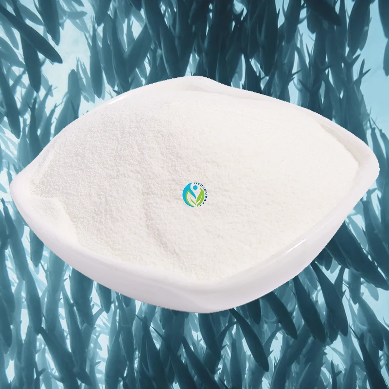 Absorbable Protein Marine Fish Powder Collagen Peptides