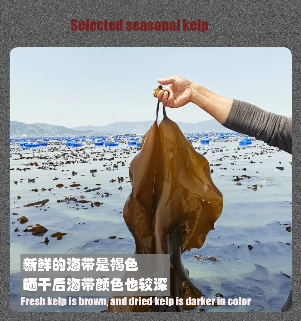  Сухая соль водорослей alga kombu оптом сушеные