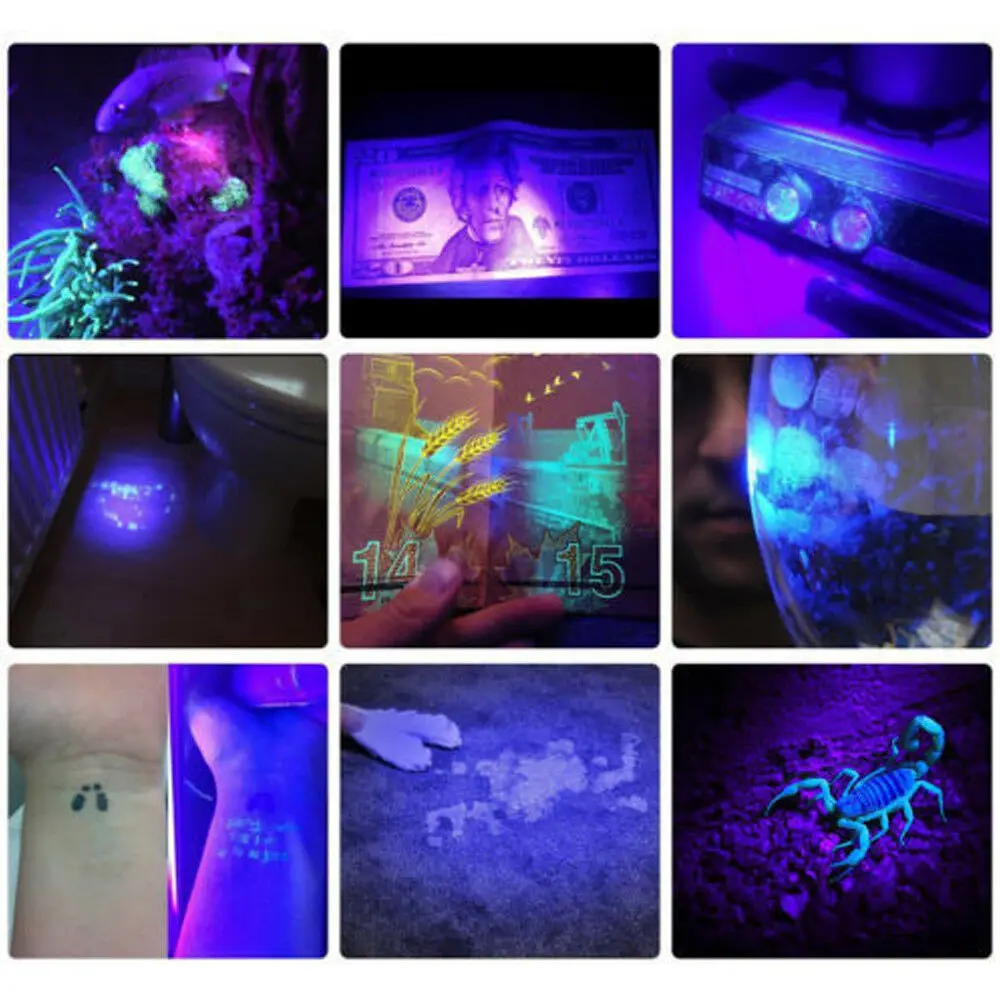 Currency Detector UV flashlight UV light 9LED Aluminum Pocke Ultraviolet Blacklight 395nm find scorpion Urine & Bodily