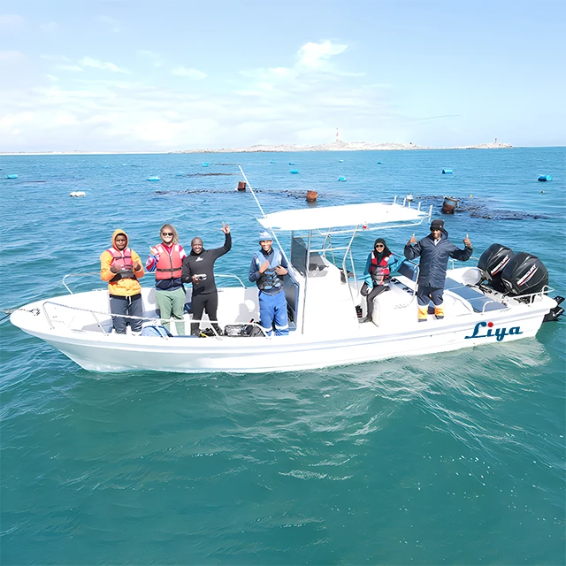 Liya 5m to 8m Customized Color Fiberglass Panga Boat Speed Fishing Boat for Sale