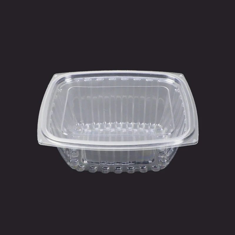 HB-24 Bread Cookie Salad Disposable Transparent Plastic Food Container