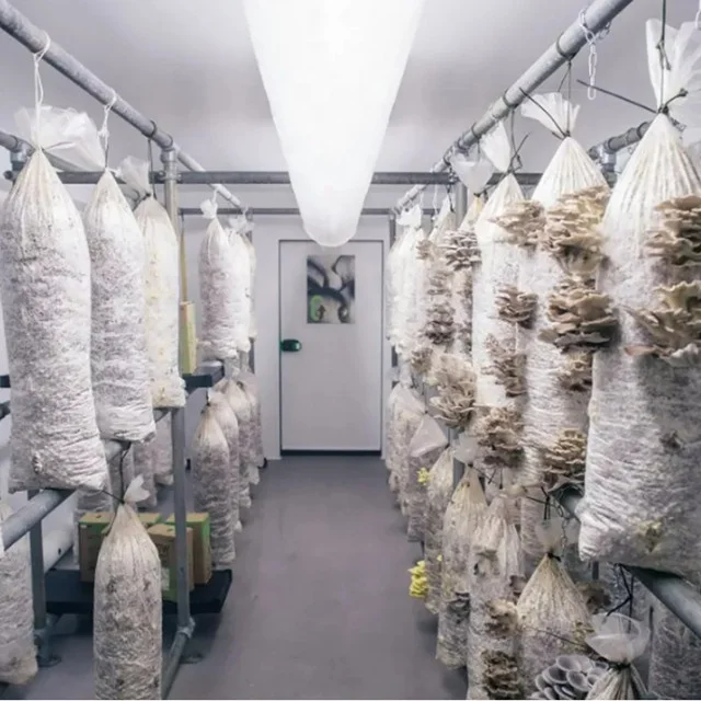 All in one mushroom grow bag mushroom grow bags spawn price