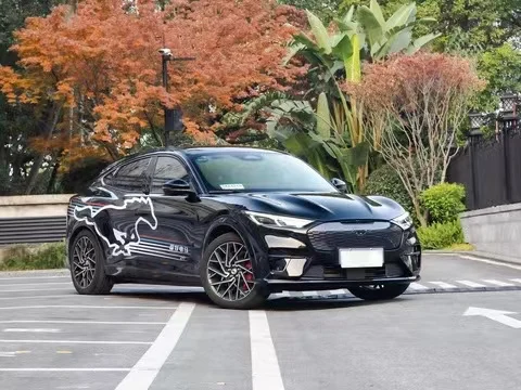 Чистый Электрический высокоскоростной электромобиль Ford Mustang Mach Новые Самые дешевые автомобили