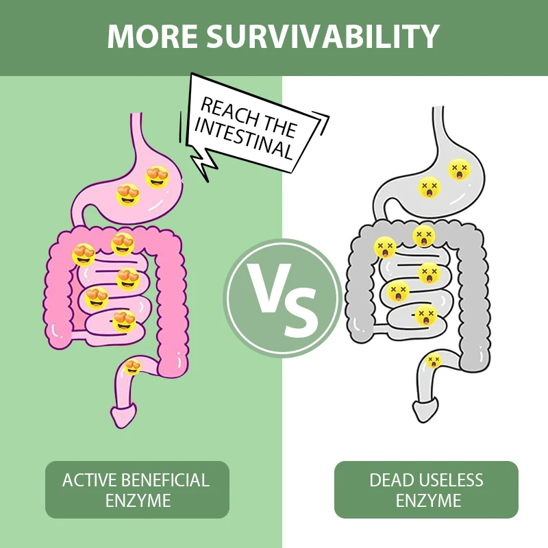 Enzyme Juice Weight loss Fruit Juice Powder for colon cleanse detox  best meal plan diet intermittent fasting programs