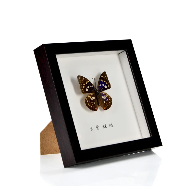 High Quality Shadow Box For Handmade DIY Flowers Insect Specimen Butterfly