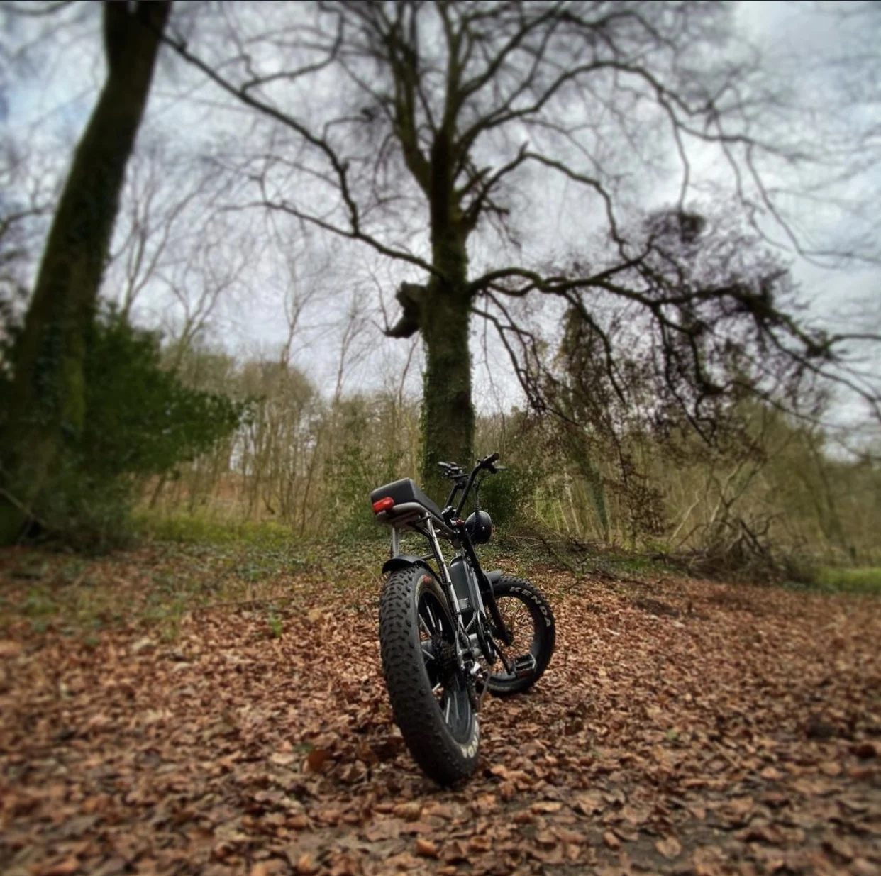  1000 Вт Bafang мотор эпицентра EBike с передней подвеской