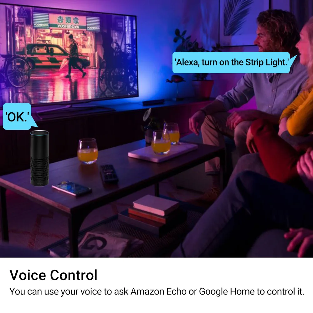 12V IR Control Indoor Decoration 5m 10m Waterproof SMD 5050 LED Strip Lights