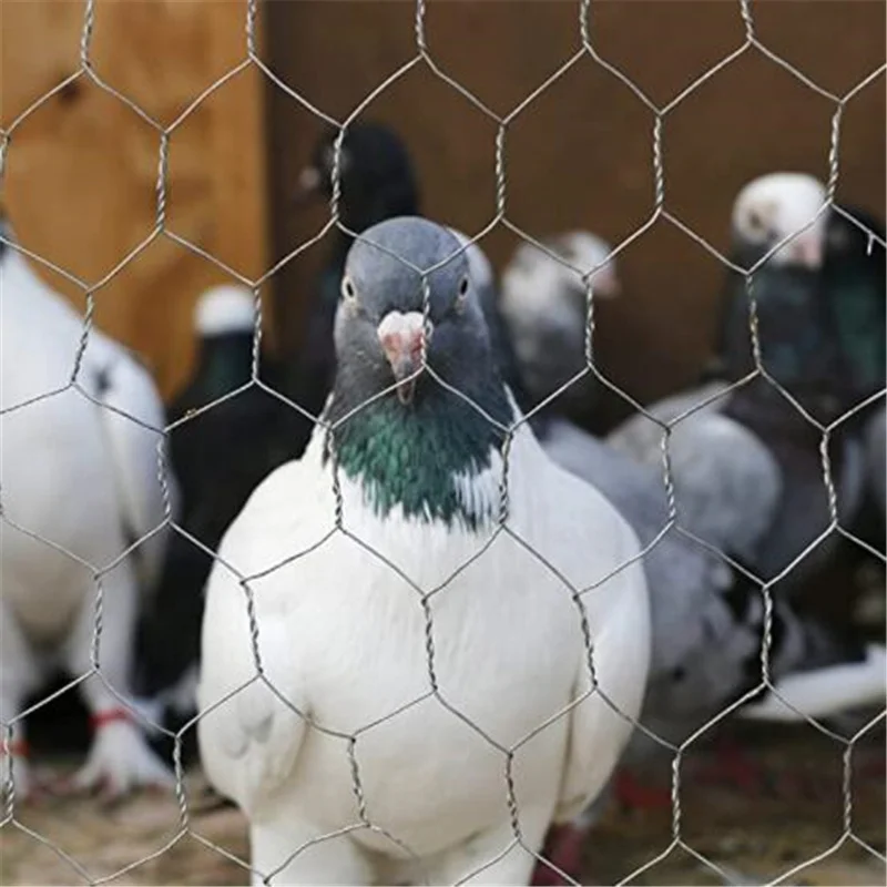 0.4mm 0.7mm Reinforcing Heavy Duty 1 Inch Galvanized Mesh For Cage Bird Rabbit Chicken Monkey Chicken Mesh