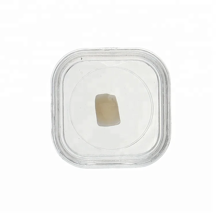 Wholesale Plastic Transparent Teeth Orthodontic Retainer Denture Storage Box - 1.5 inch