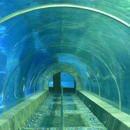 Заводская Продажа индивидуальный акриловый аквариумный туннель для аквариума