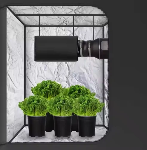 5-Gallon Non Woven Fabric Gardening Planter for Vegetable Herbs Flowers Tomato Planter Plant Grow Bags