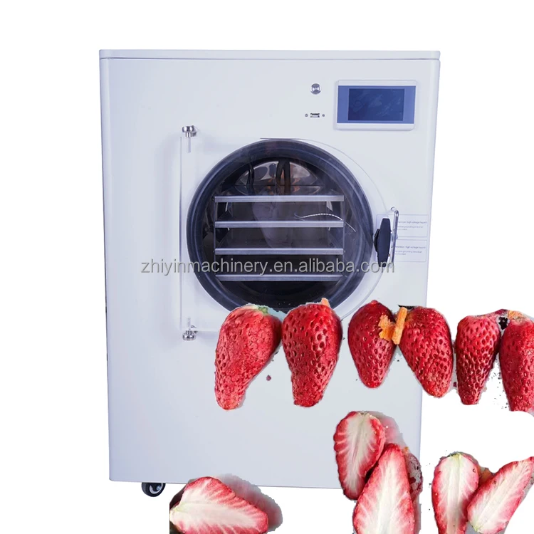Multifunctional Small Fruit Freezing Machine Household Laboratory Vacuum Lyophilization Machine