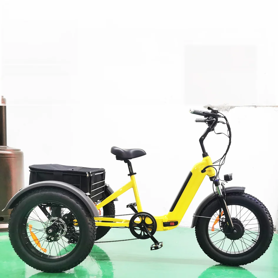 Электрический трехколесный велосипед Joyebikes 20-дюймовый грузовой 500 Вт 750 электрический с толстыми шинами горный трицикл