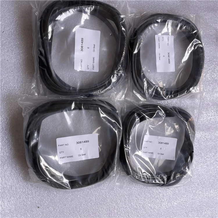 3081489 Liner Oil Seal.jpg