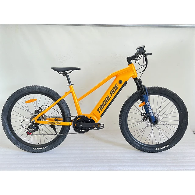 48V 13A 500W HOT SELLING MIDDLE DRIVE MOTOR E BIKE ELECTRIC BICYCLE