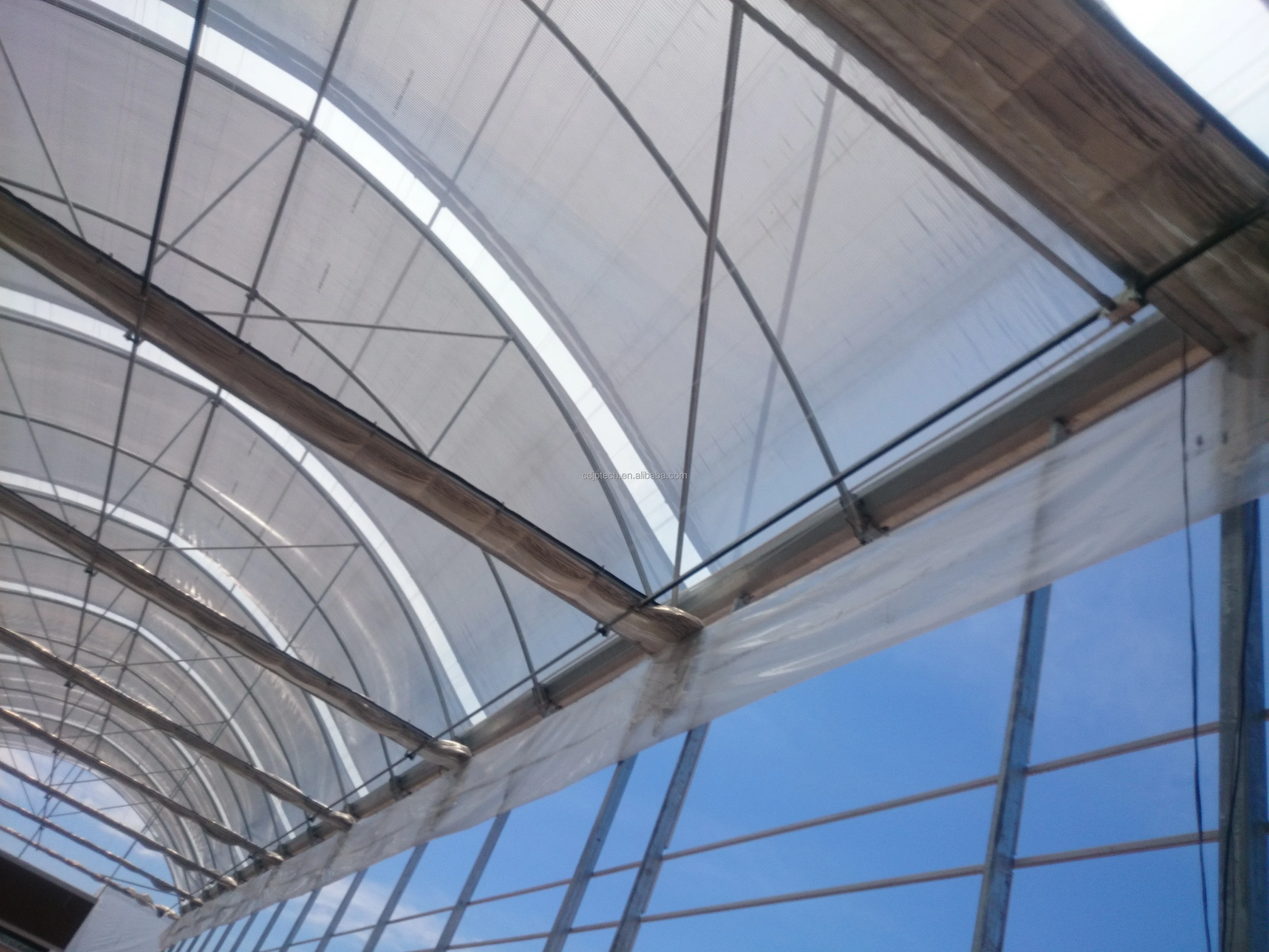 Jiapei Multi-span low cost agricultural tomato hydroponic Growing System vertical planting Cultivation flim blueberry greenhouse