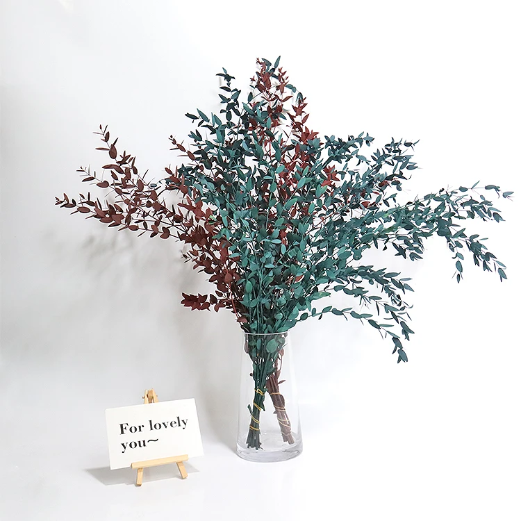 A-26 2023 new arrivals cheap natural candles dry Eucalyptus leaves Decorative flowers dried flower eucalyptus garland