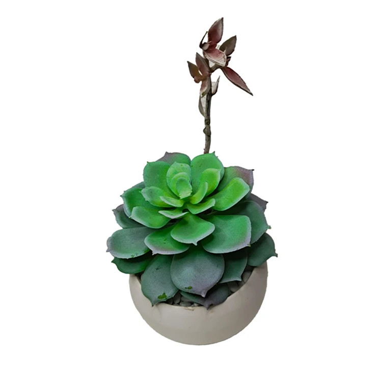 
High Quality Green Lotus Plants Faux Flower Cement Pot Home Decor Buy Artificial Succulent Pot 