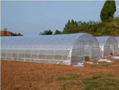 
Good Quality And Easily Installed Agricultural/Commercial Green House Greenhouse 