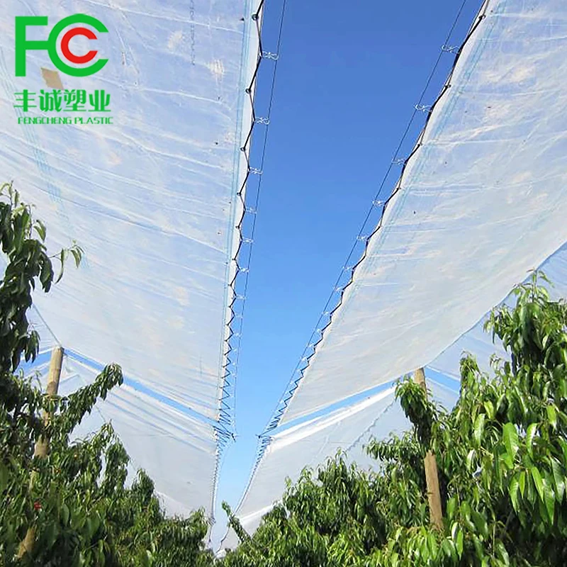 Supply quality plastic covers add UV polyethylene anti big rain/storm vine yard table cover vine grapes/plastic grape cover