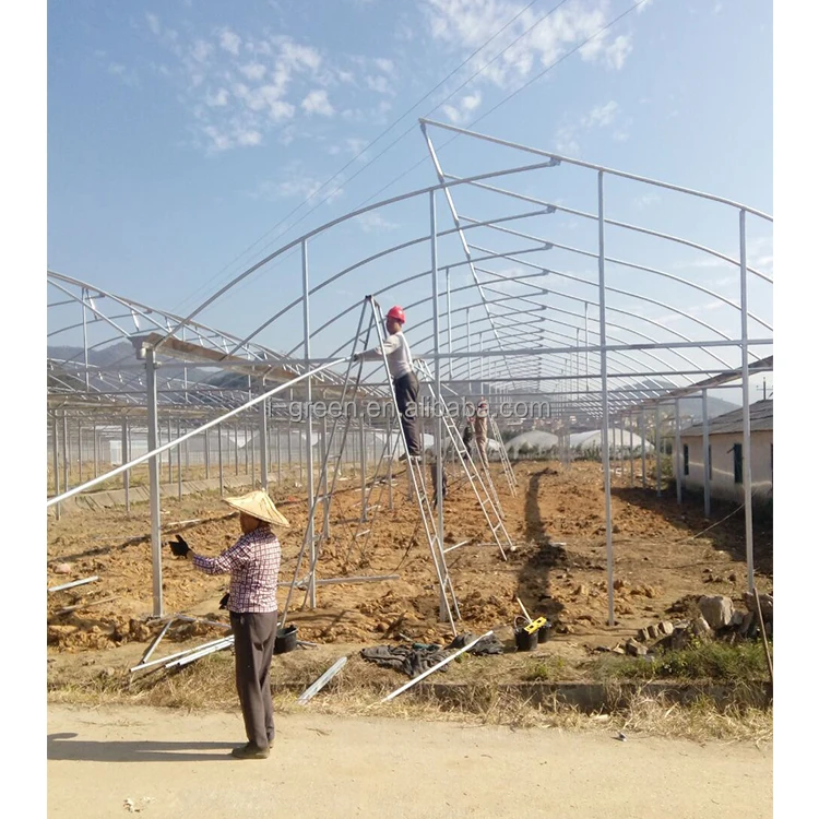 Film Frame Plastic Large Green House Metal Frame Large Plastic Tray for Seed Planting Large Glass Flower Base Customizable Size