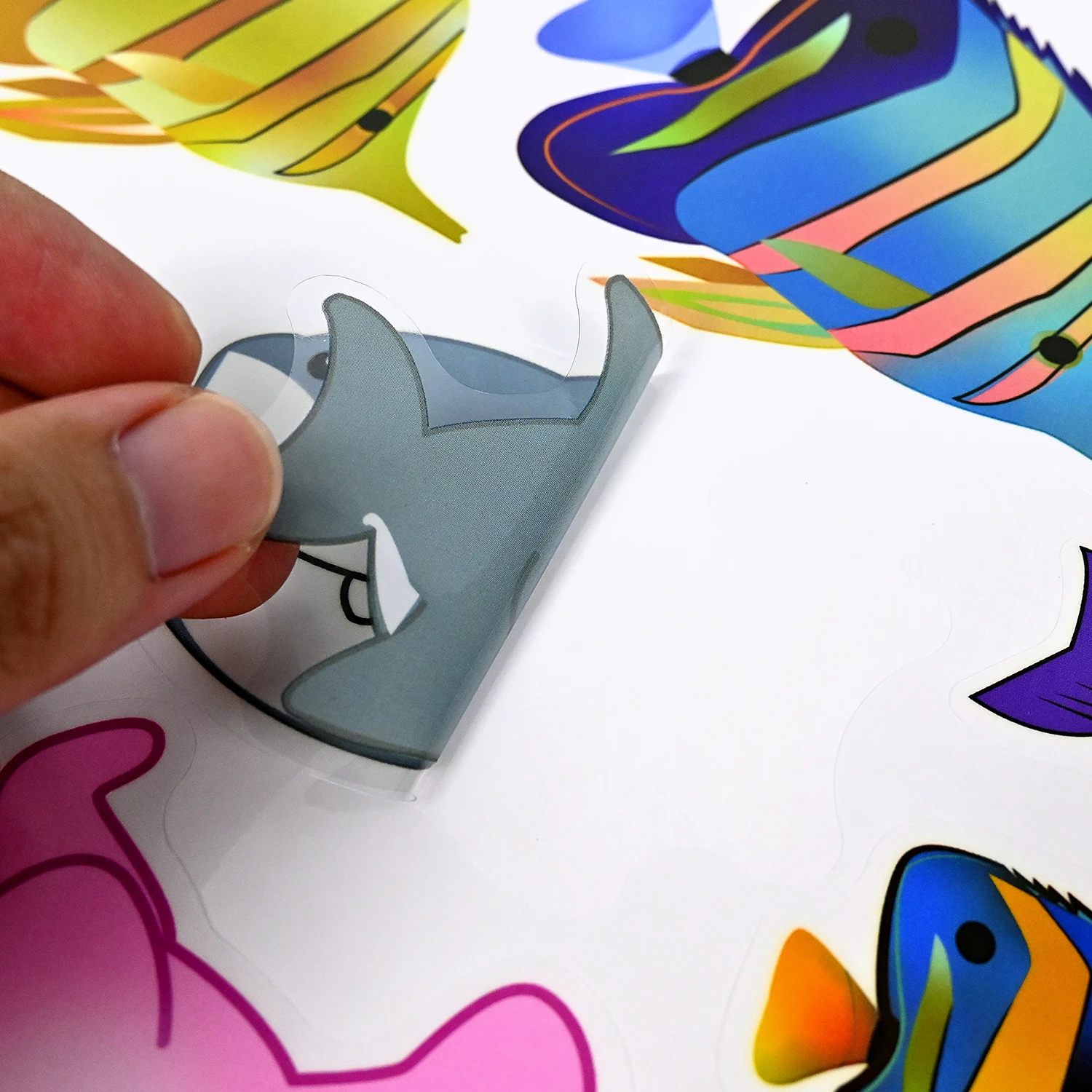 glass door Fresh seafood supermarket  Fresh seafood shop raw fish prawns advertising sticker poster decorative painting