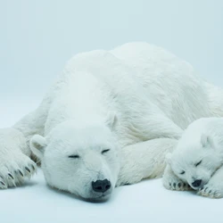 High Quality Polar Bear Simulation Anime 3d Model Sculpture Art