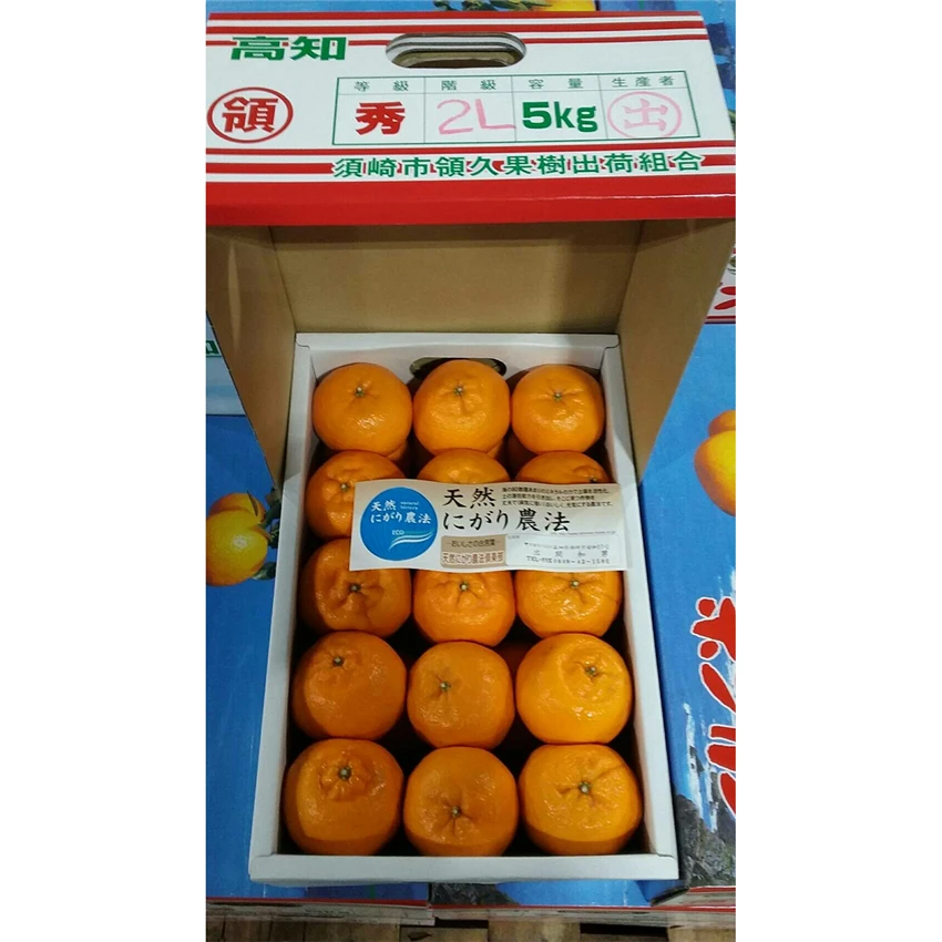 Wholesale low moisture unique fragrance fresh mandarin orange price