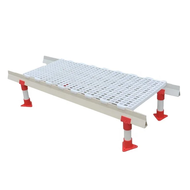 New Type 100% Virgin PP Material Chicken Slat Floor Broiler Chicken Farming Plastic Slatted Floor for Poultry Chicken House