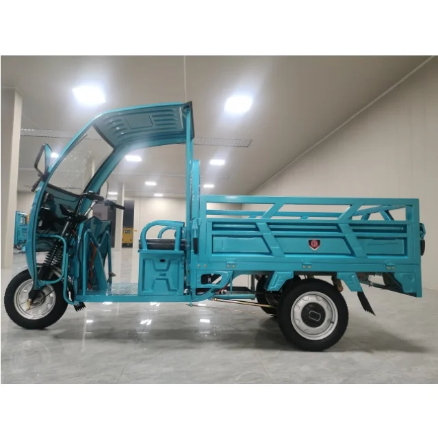 Новый тип Электрический грузовой трехколесный велосипед 60V1000W дисковые тормоза электрические трициклы популярные в Турции