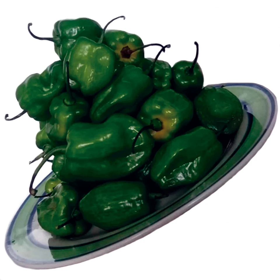 High Quality Fresh Pepper Chilli Green Habanero