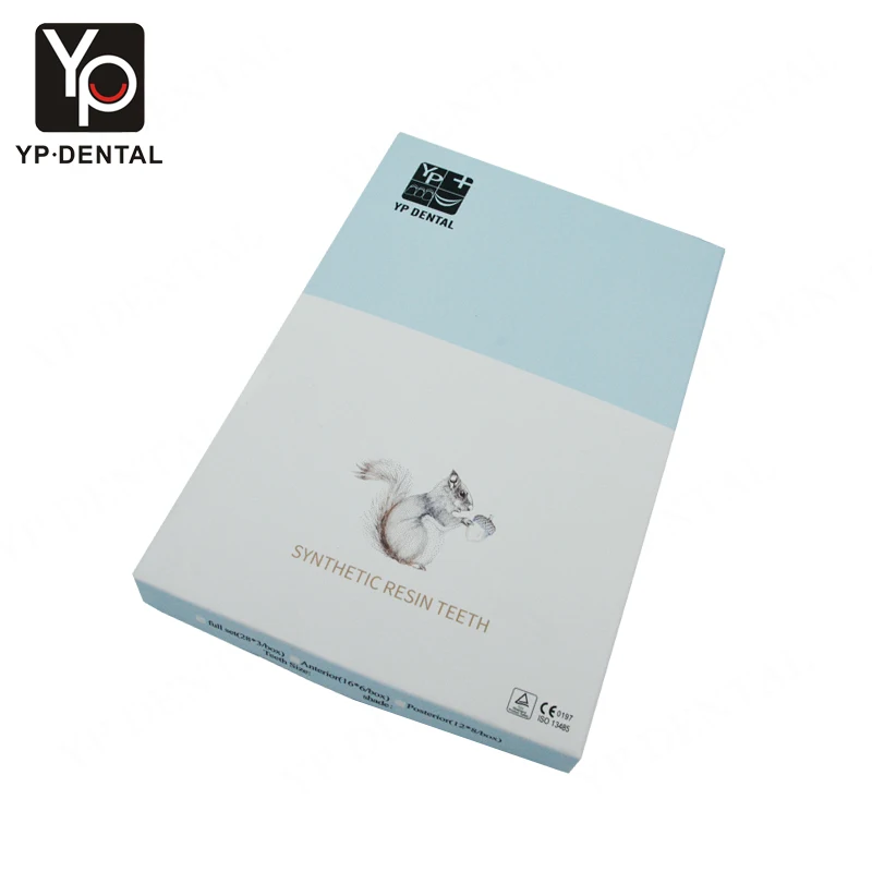 Yingpai, factory price, two layers, acrylic resin teeth, denture