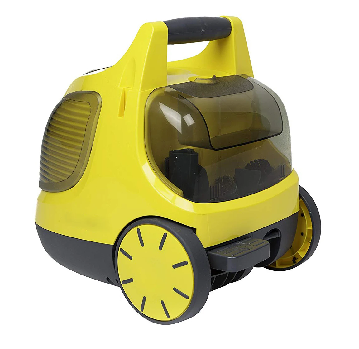 
Professional high pressure steam cleaner with alternative iron 