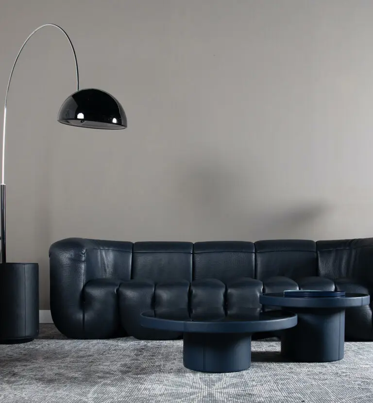 ATUNUS Modern Black Leather the DS 707 Sofa Philippe Malouin sofa living room furniture couches floor relax leisure sofa