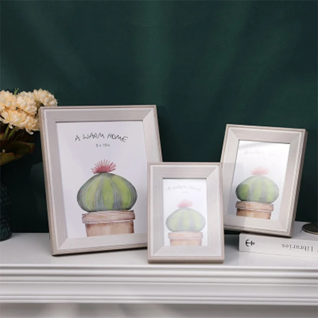 Personality Lovely Desktop Bookcase Dandelion Cactus Design Picture Frame