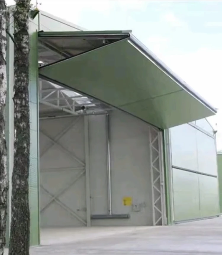 Deda Christmas promotion   residential automatic garage  door double  electric automatic aluminum glass garage  door