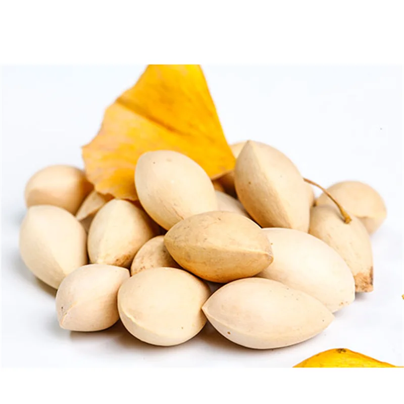 Wholesale  2023 Sales Best Selling   Dried Ginkgo Nuts / fresh Ginkgo Nuts / fresh raw ginkgo nuts