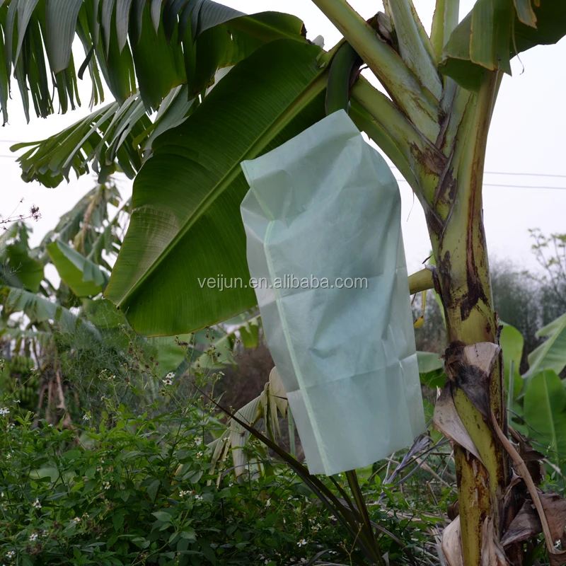 
Anti-UV PP Non Woven Fabric Fruit Cover/Banana Bags 